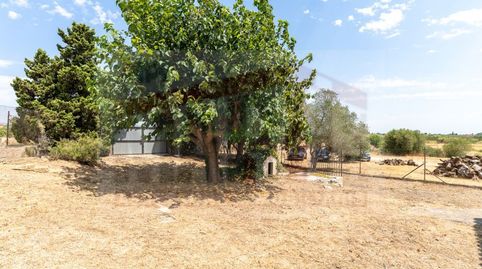 Foto 4 de Casa o chalet en venta en Riudoms, Tarragona