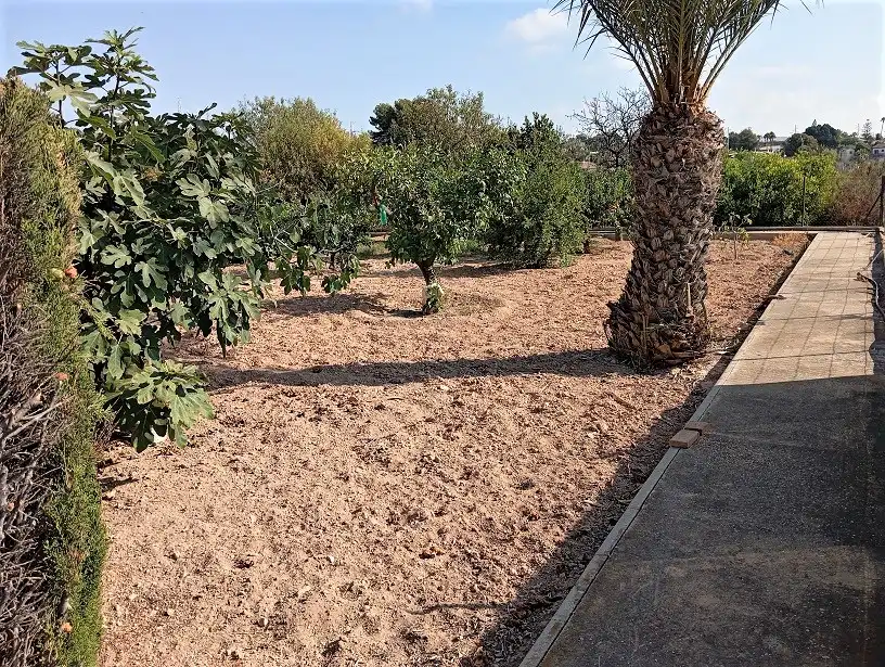 Casa o xalet en venda en Elche / Elx amb Aire condicionat, Jardí privat i Terrassa