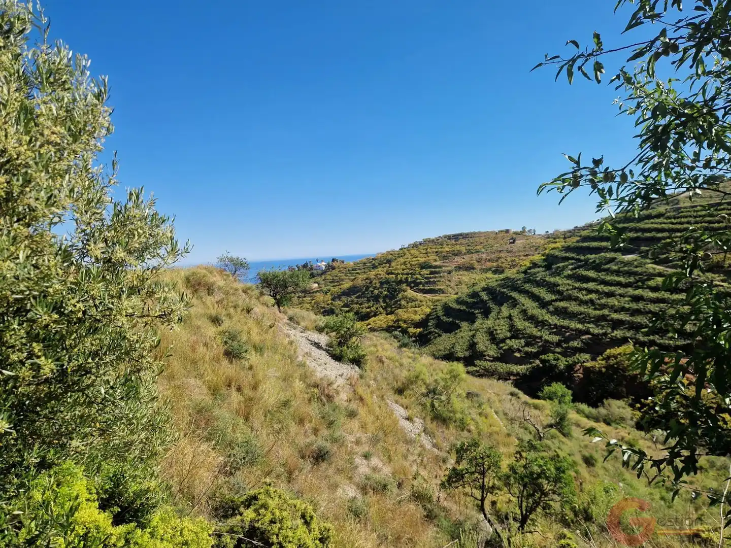 Terrenys i solars en venda a Monte los Almendros - El Pargo - Costa Aguilera, imagen 10