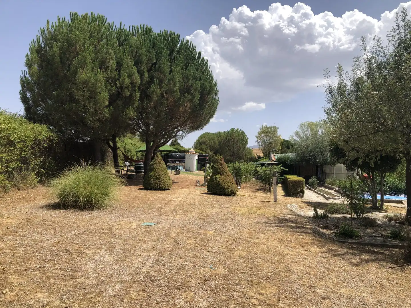Finca rústica en venda a La Lastrilla