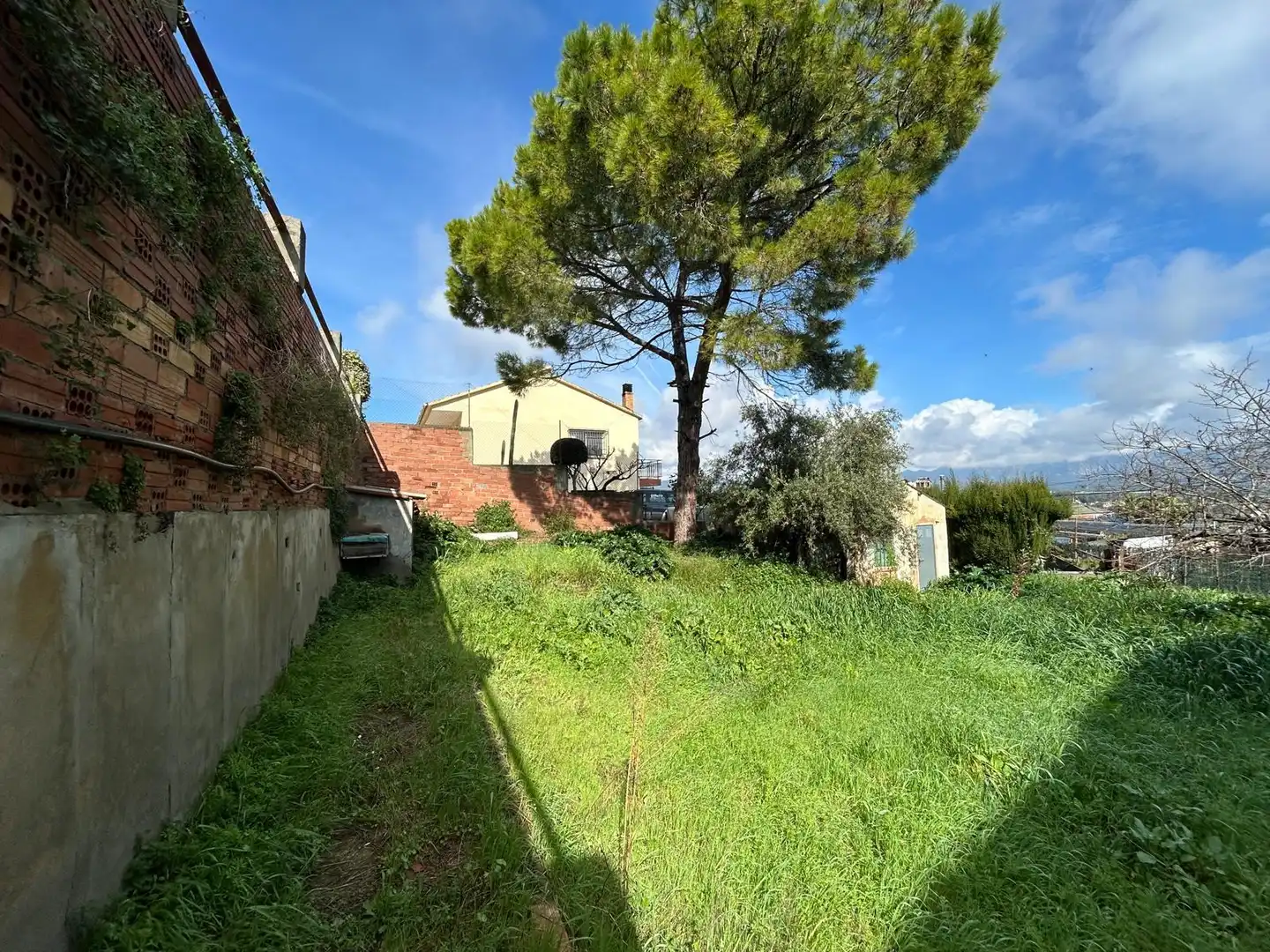 Terrain rustique à vendre à Piera, imagen 8