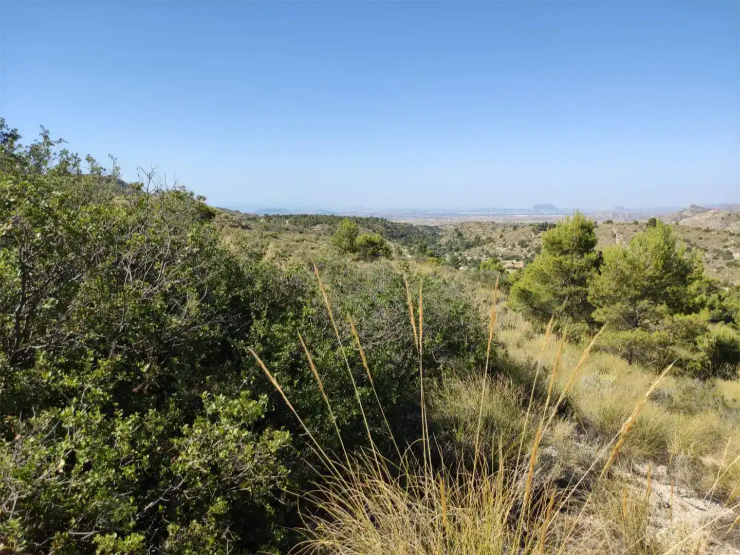 Terreno en venta en Busot