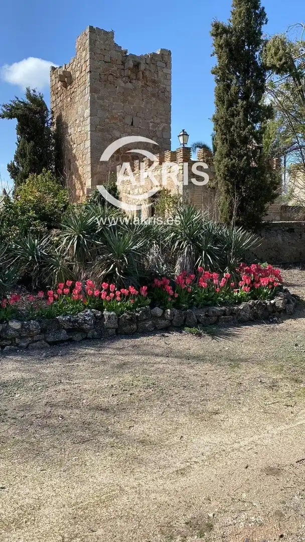 Jardín de Casa o chalet en venta en Mazarambroz con Terraza