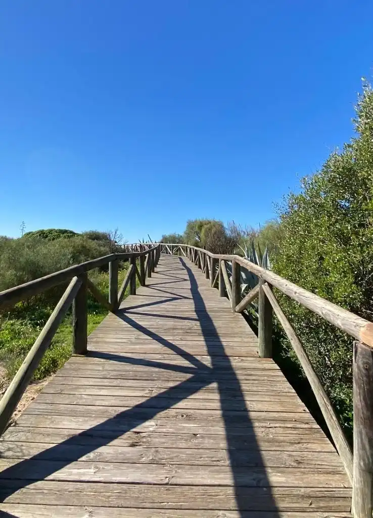 Vista exterior de Casa adosada en venta en Chipiona con Aire acondicionado, Jardín privado y Terraza
