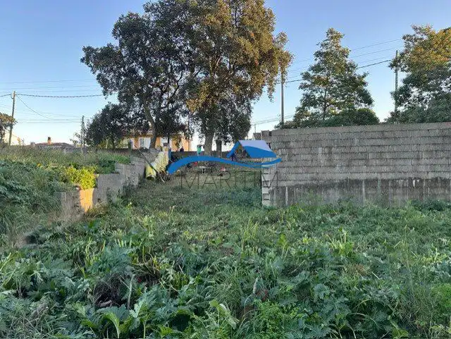 Terrenos y solares en venta en Sensitiva, imagen 6