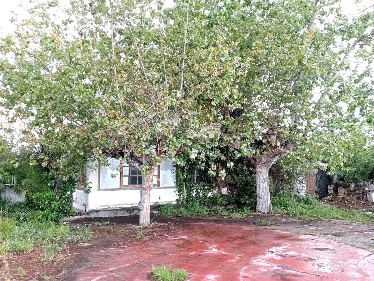 Vista exterior de Casa o xalet en venda en Mataró