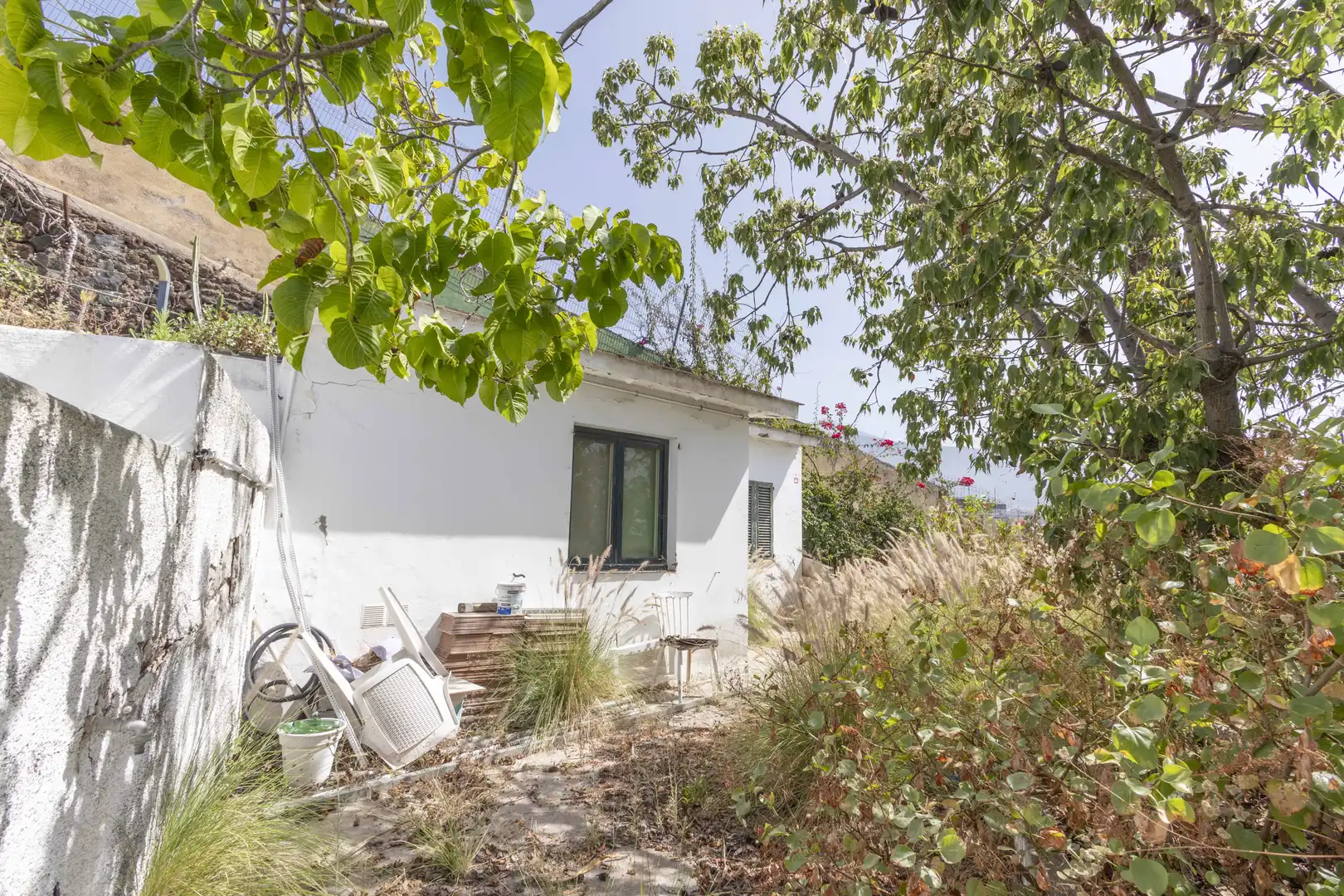 Vista exterior de Casa o chalet en venta en Puerto de la Cruz con Jardín privado y Terraza