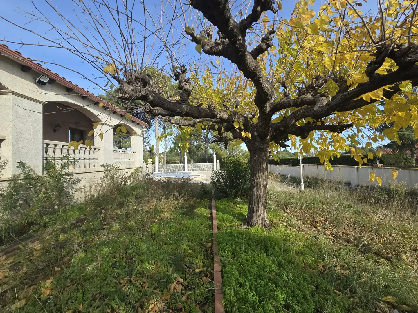 Casa con terrazza in vendita a Avinguda de les Flors, imagen 107