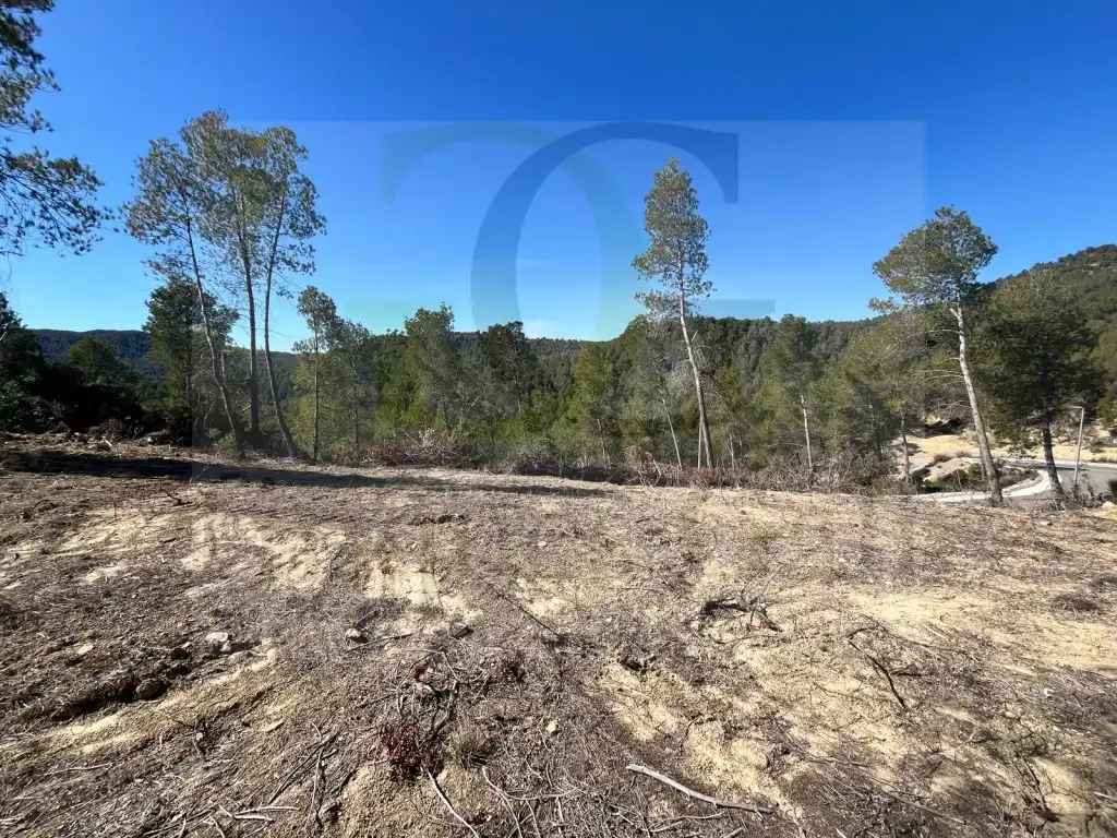 Residential land for sale in Calle Joan Maragall, imagen 3