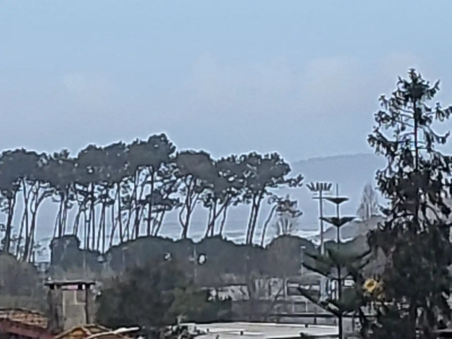 Vista exterior de Casa o chalet de alquiler en Vigo  con Calefacción, Jardín privado y Amueblado