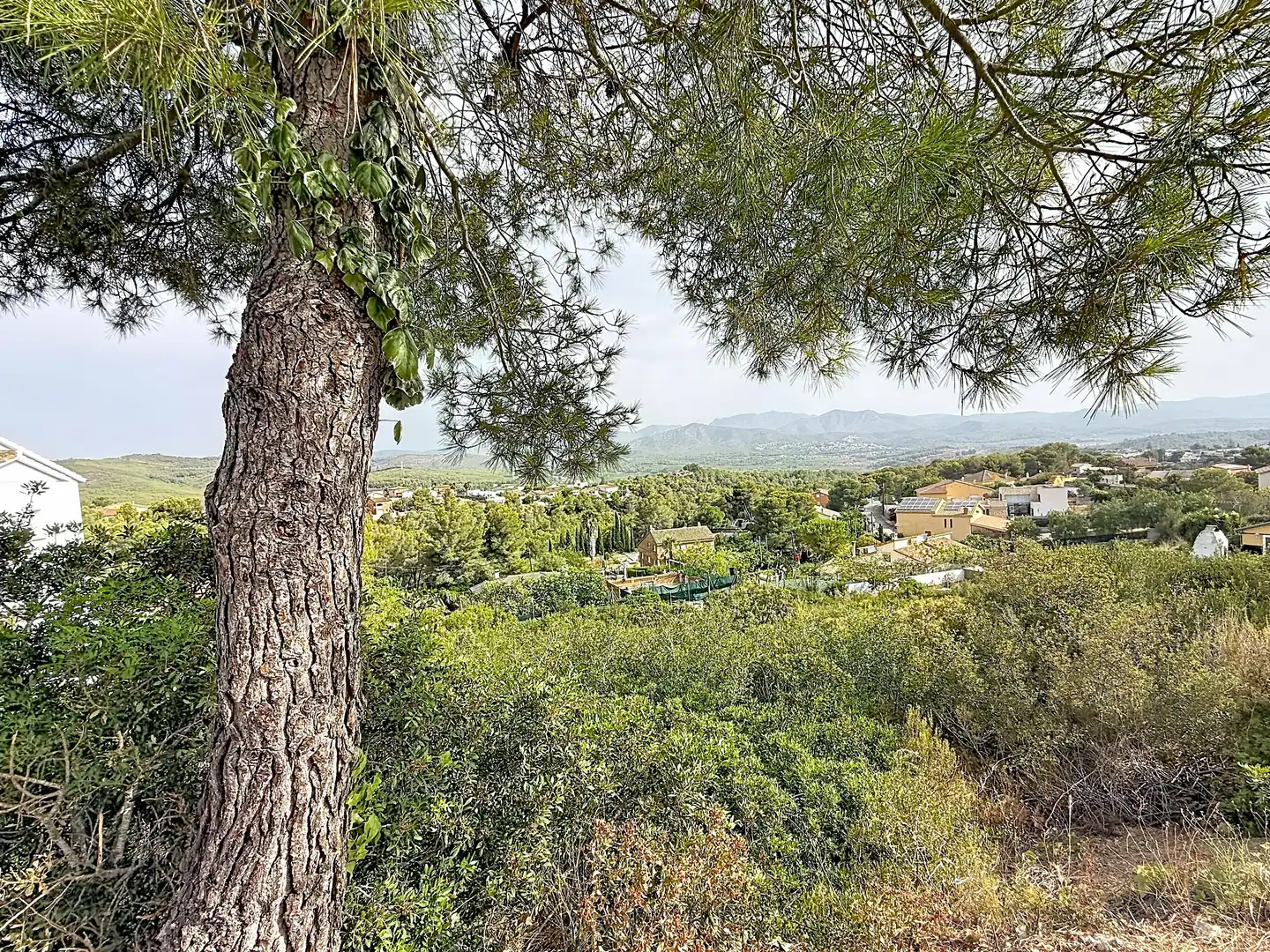Residential land for sale in La Bisbal del Penedès, imagen 9