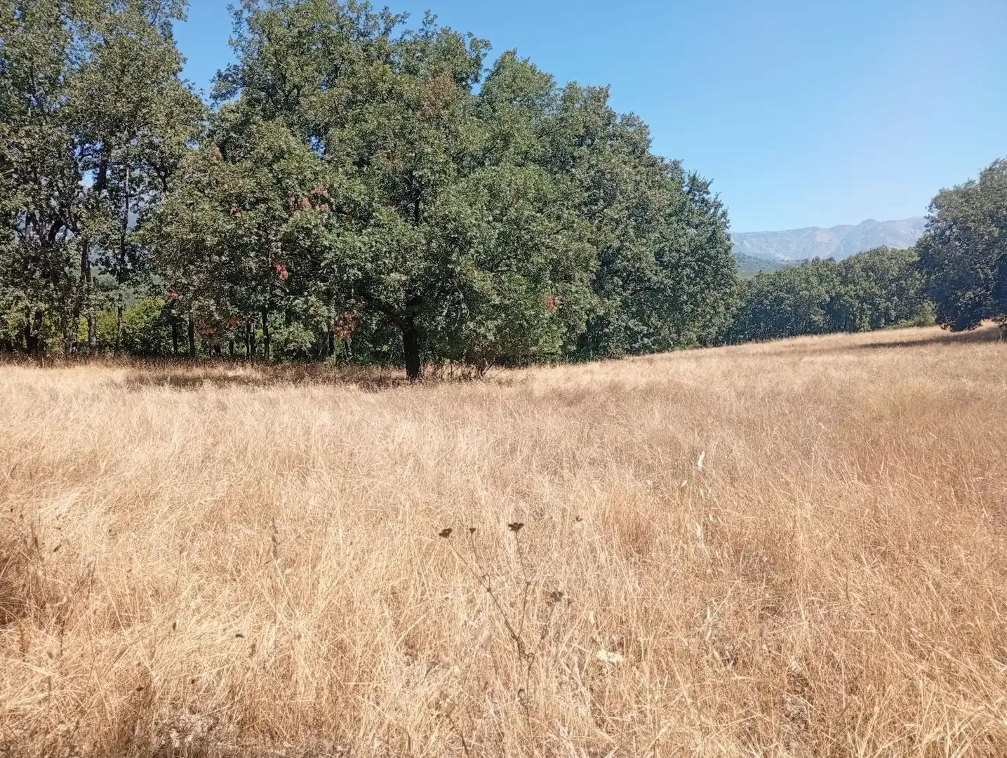 Terreni e lotti in vendita a Villanueva de la Vera, imagen 54