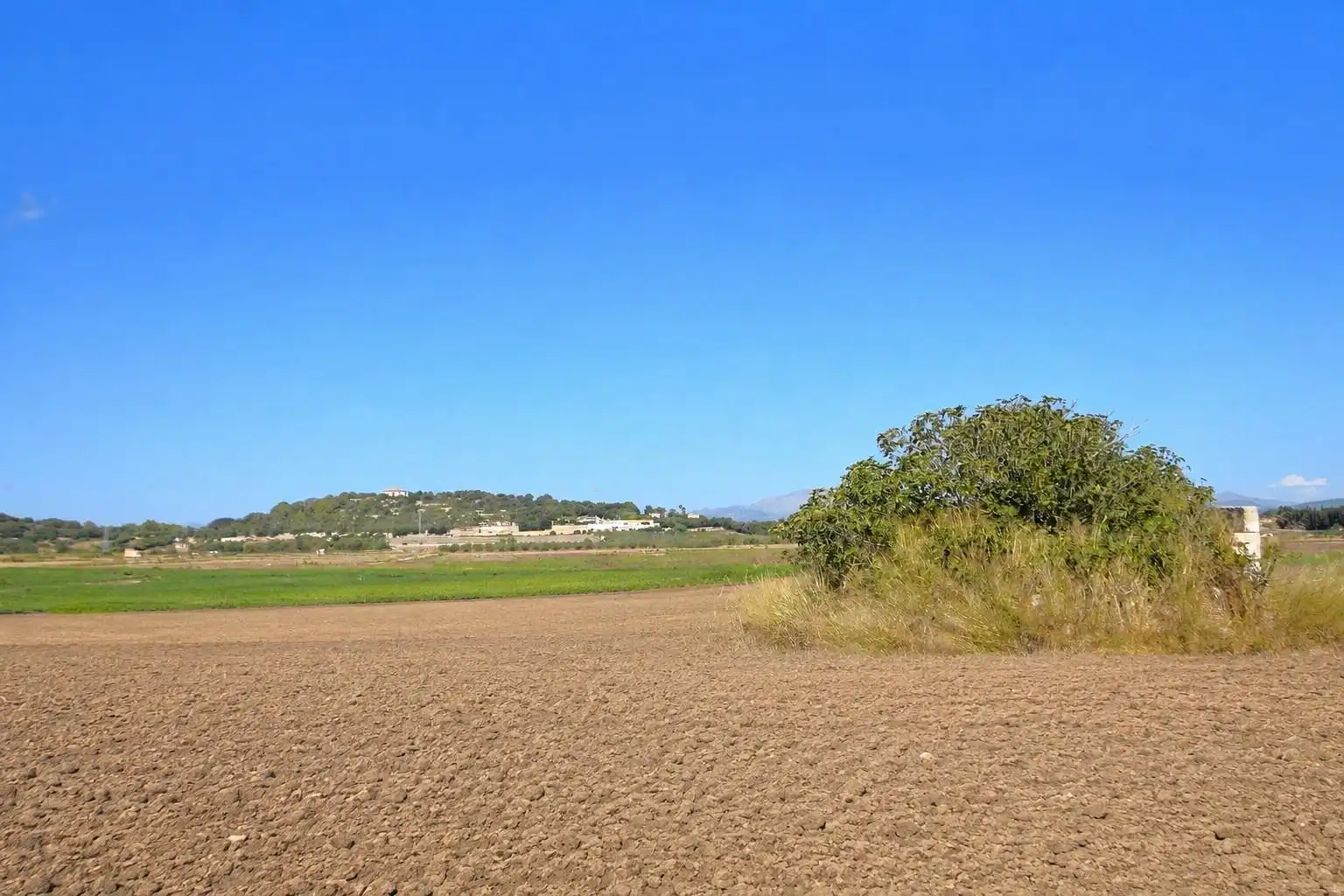 Rural land for sale in Muro, imagen 8