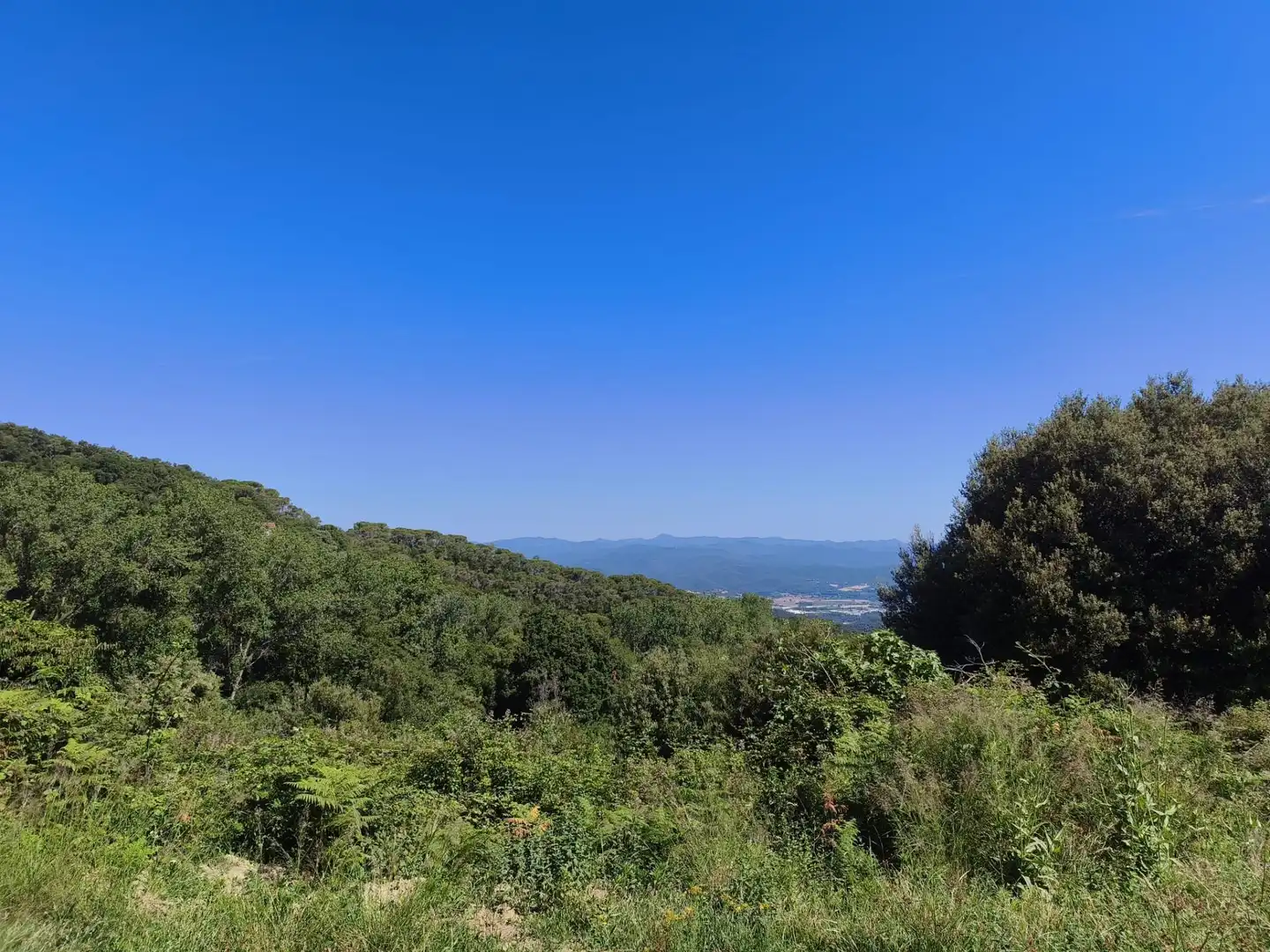 Terreno rustico in vendita a Tordera pueblo, imagen 38