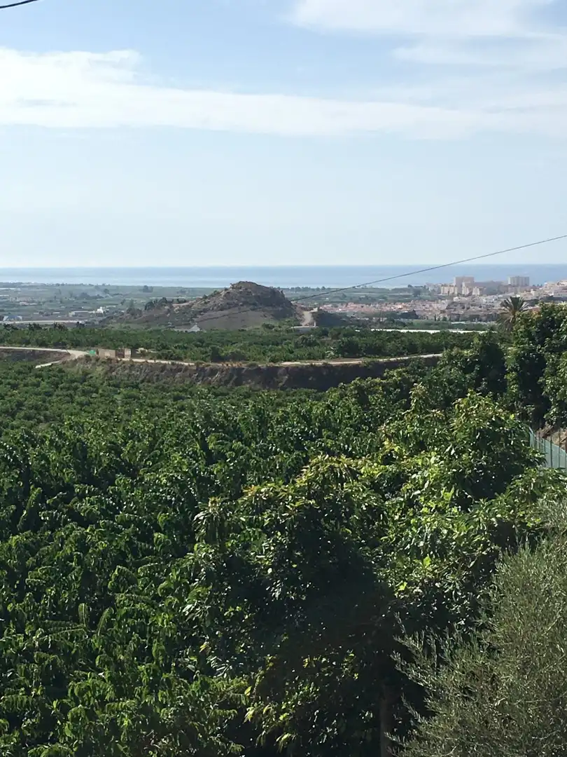 Casa rústica en venda a Monte los Almendros - El Pargo - Costa Aguilera, imagen 49