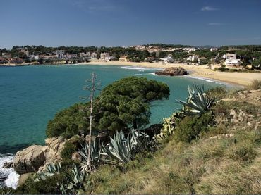 Grundstücke und Bauplätze zum Verkauf in Sa Tamardia 19