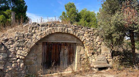 Magnífica finca rústica amb cabana de volta, immagine 3