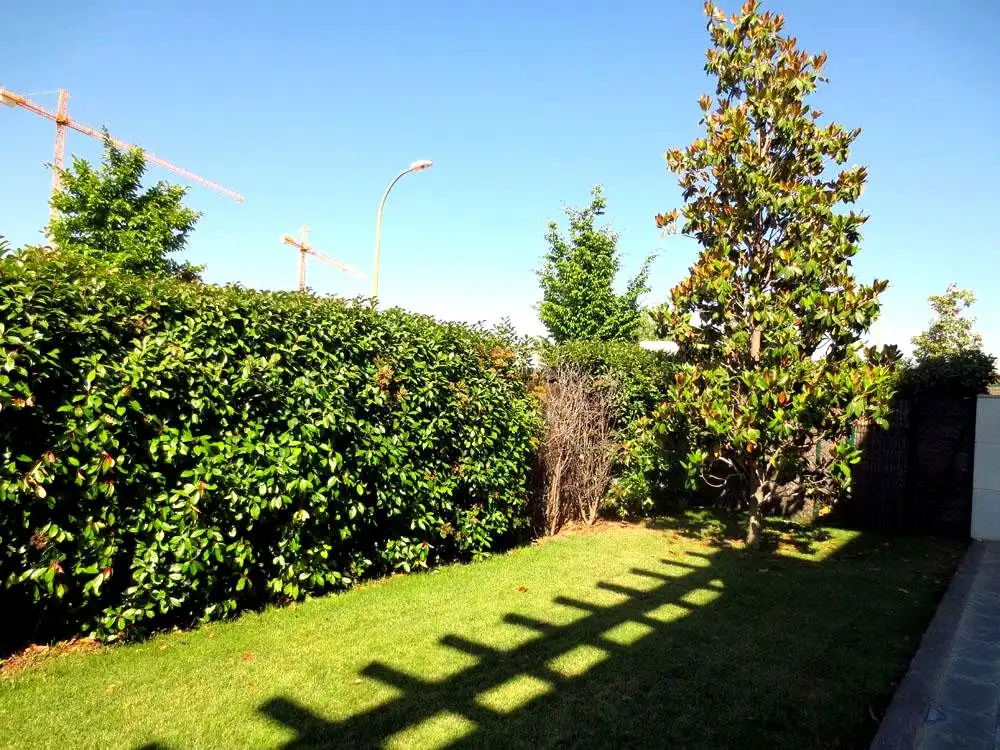 Garden of Ground floor for rent in Madrid  with Air Conditioner, Heating and Private garden