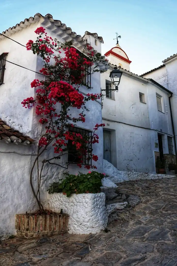 Local commercial à vendre à El Jardín - Antonio Vega