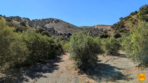 Foto 3 de Finca rústica en venta en Vélez-Rubio, Almería
