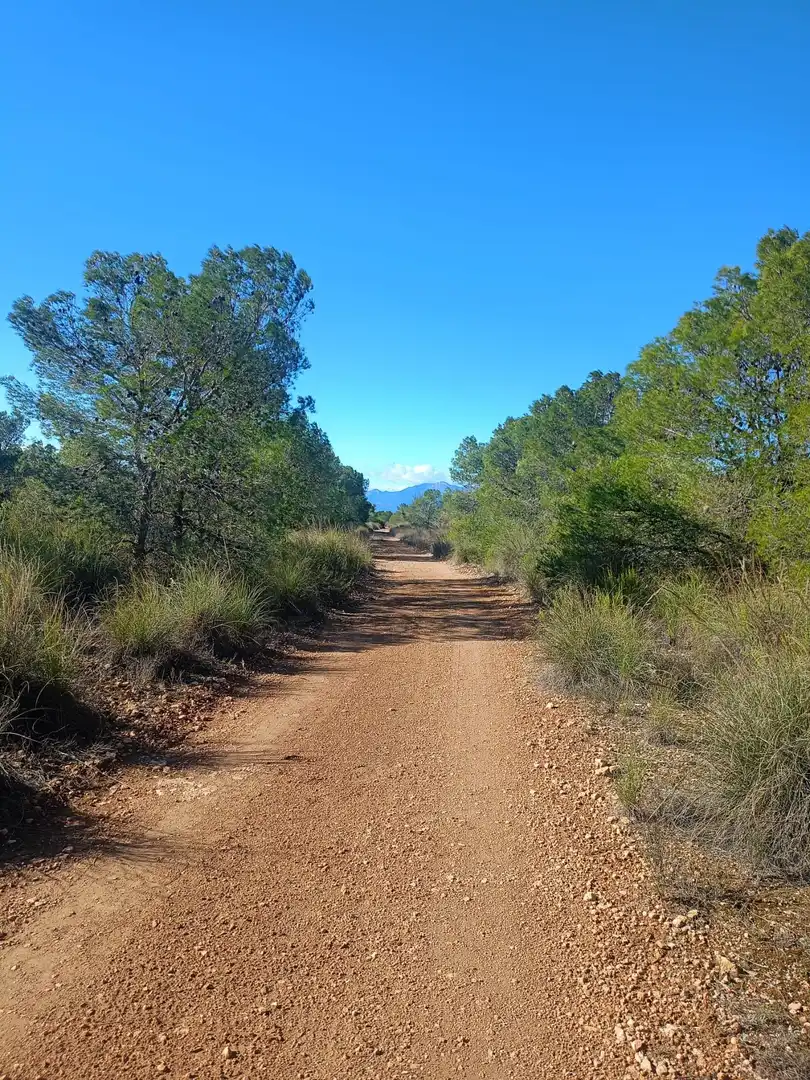 Außenansicht von Grundstücke zum Verkauf in Lorca