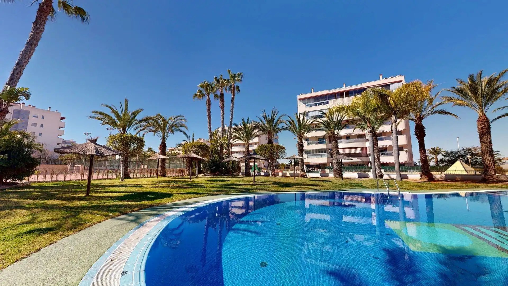 Swimming pool of Apartments for rent in Elche / Elx  with Air Conditioner, Heating and Private garden