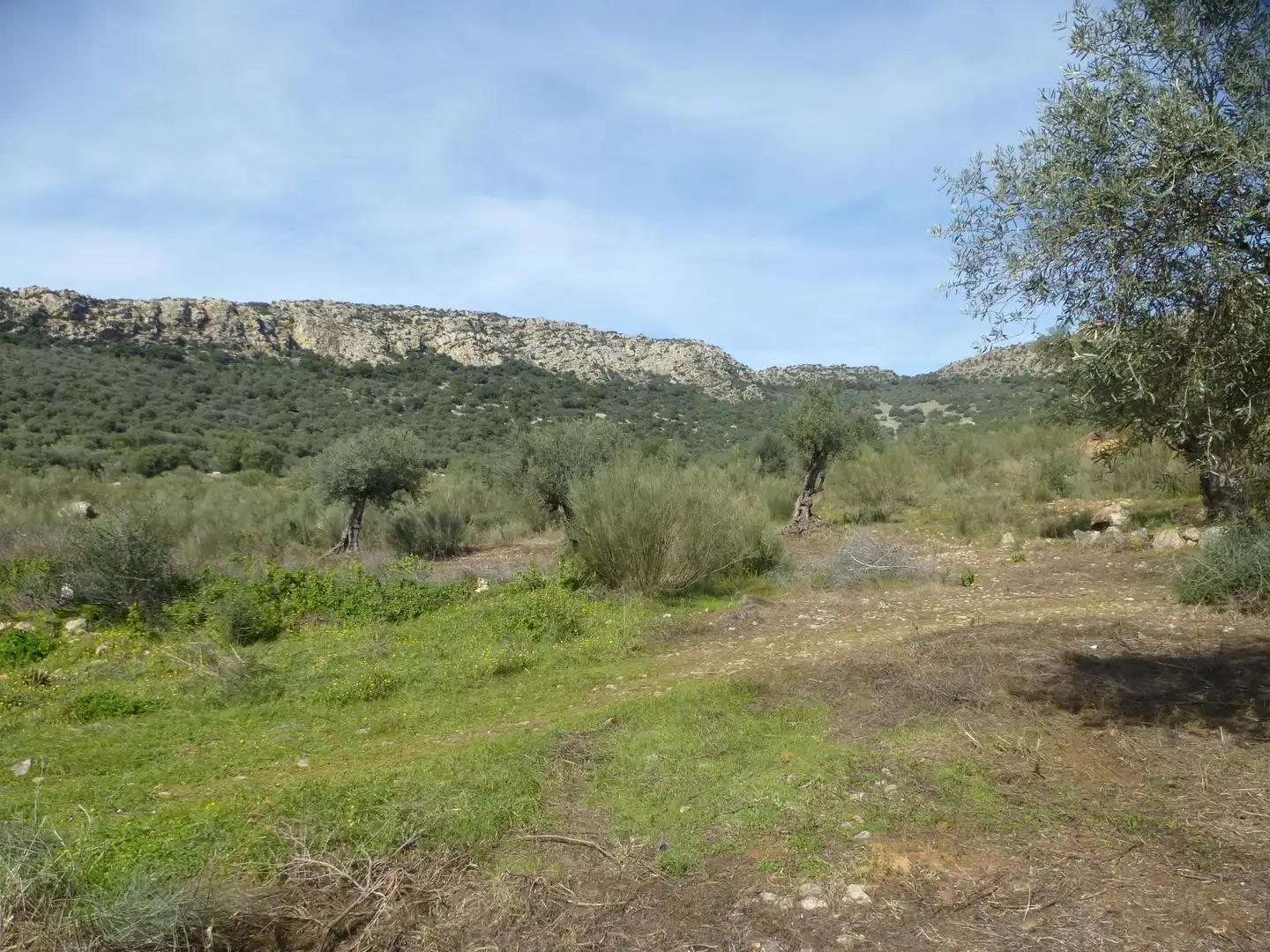 Terreno rústico en venta en Navalvillar de Pela, imagen 3