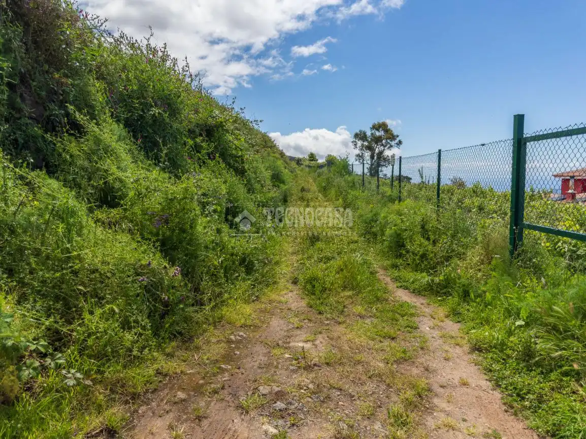 Land for sale in Icod de los Vinos