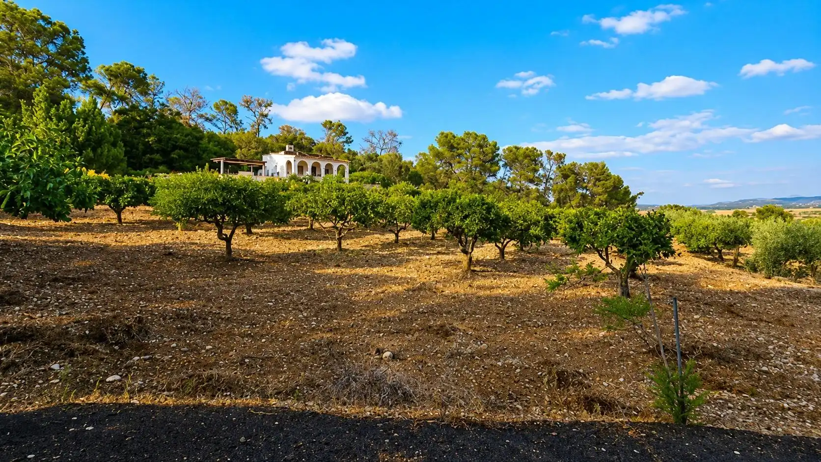 Casa rústica en venta en Algaida, imagen 8