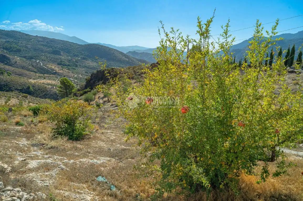 Finca rústica en venda en Los Guájares