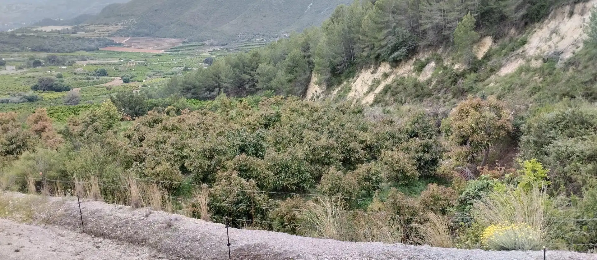 Rural land for sale in L'Atzúbia, imagen 11