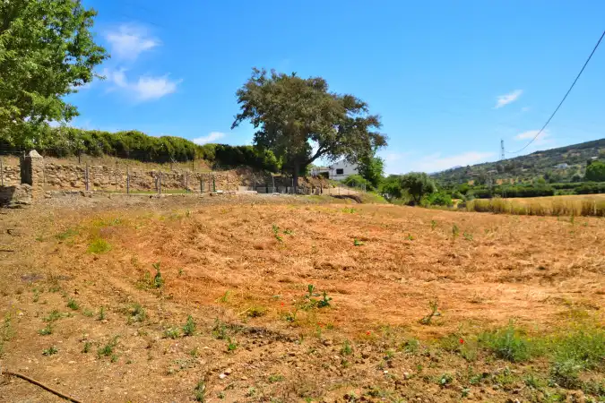 Casa rústica amb terrassa en venda a Partidas Norte, imagen 10
