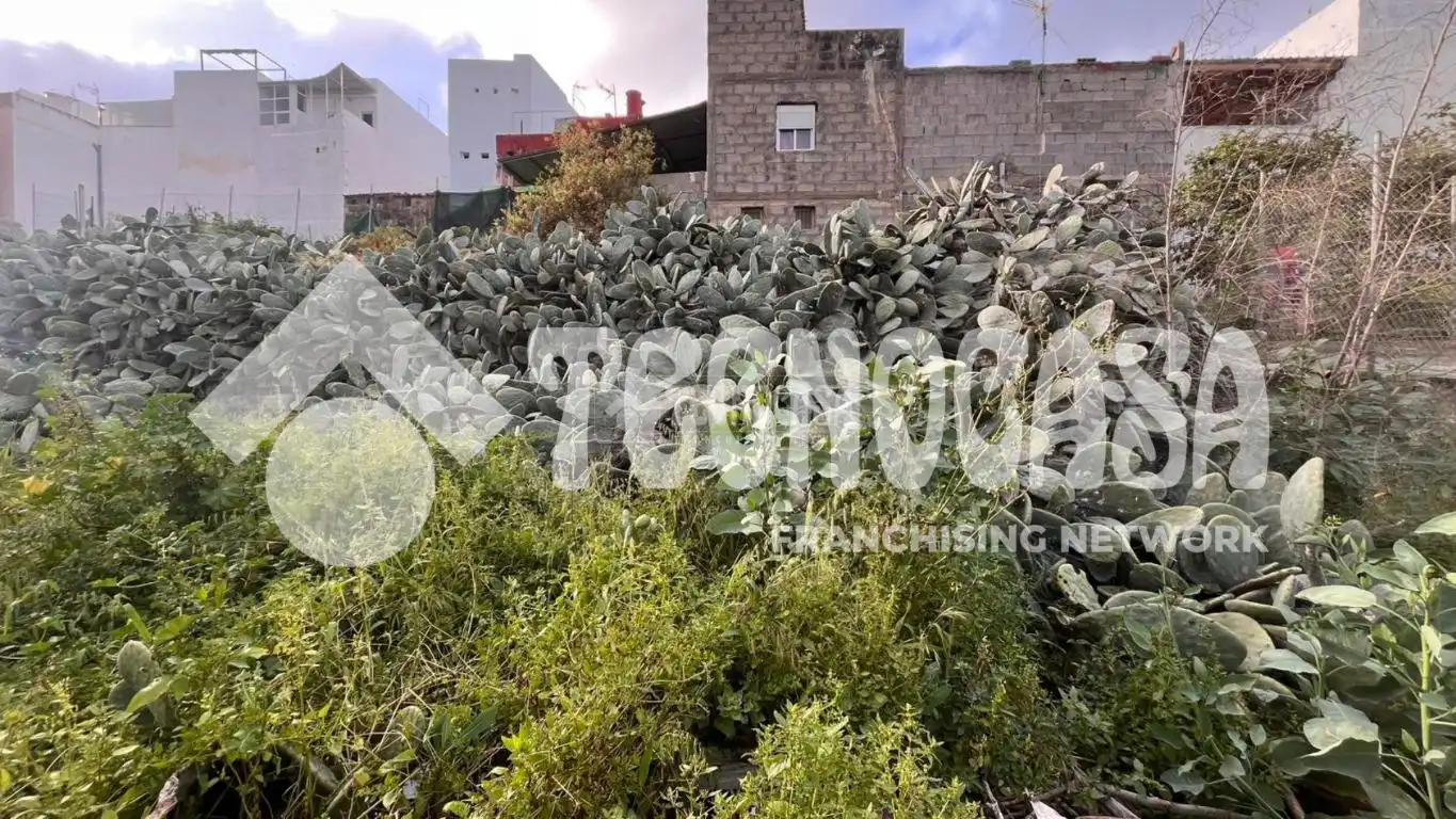 Wohnbaugrundstück zum Verkauf in Moya (Las Palmas), imagen 9