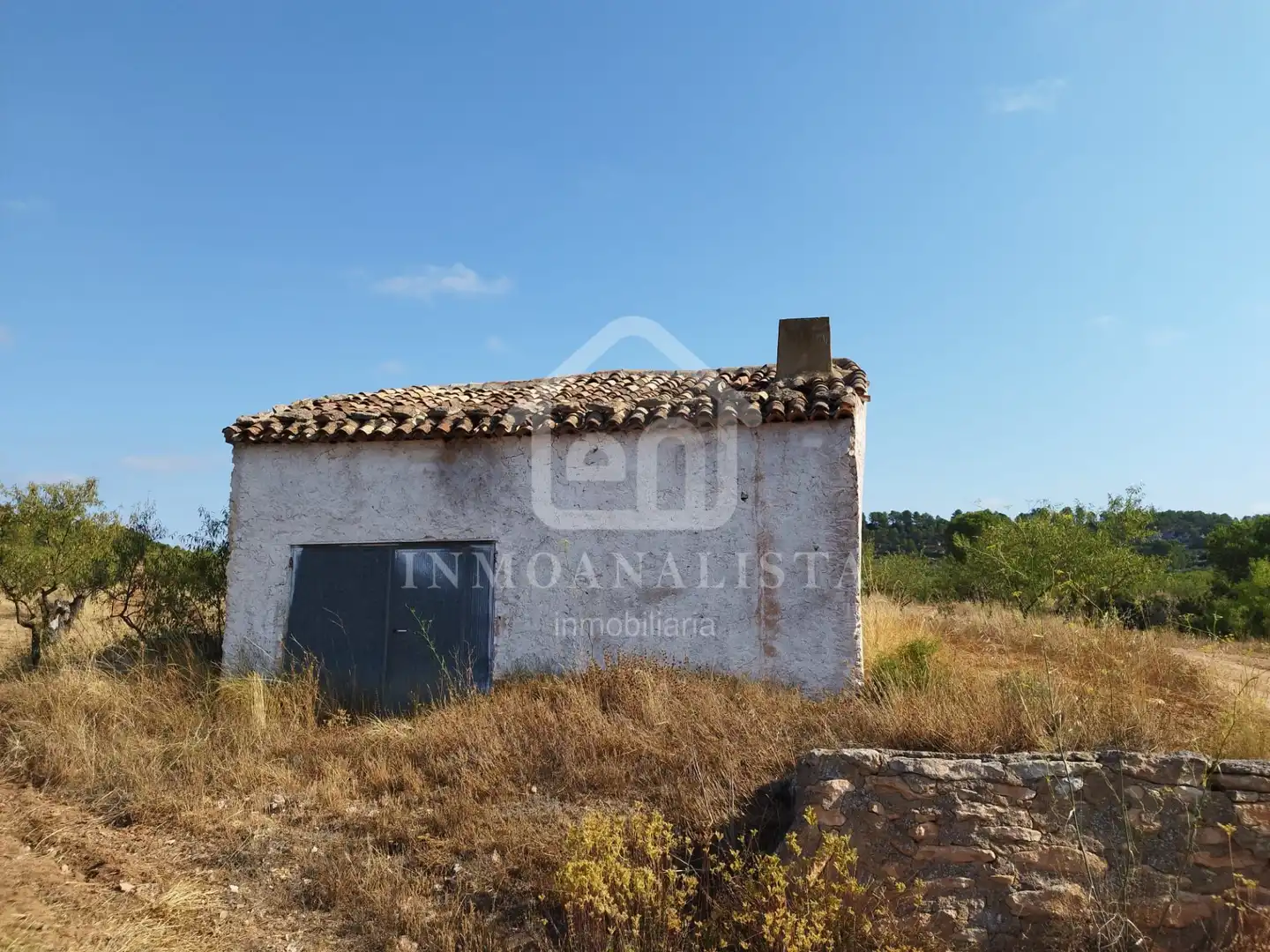 Rural land for sale in Cofrentes, imagen 20