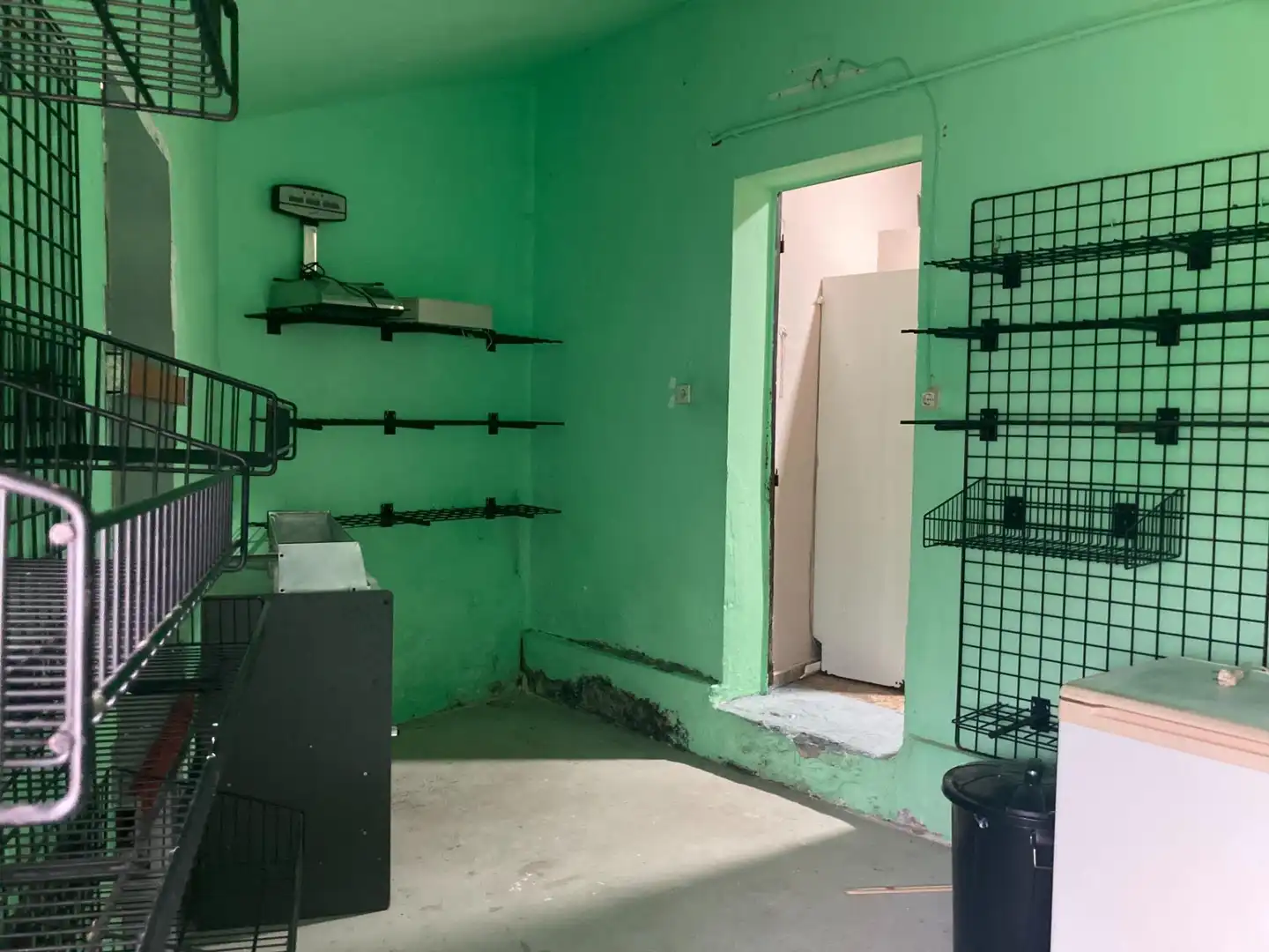 Gewerbefläche zur Miete in Lugar San Roque, imagen 28