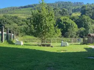 Gewerbefläche zur Miete in Gatzarriñe Kalea, imagen 9