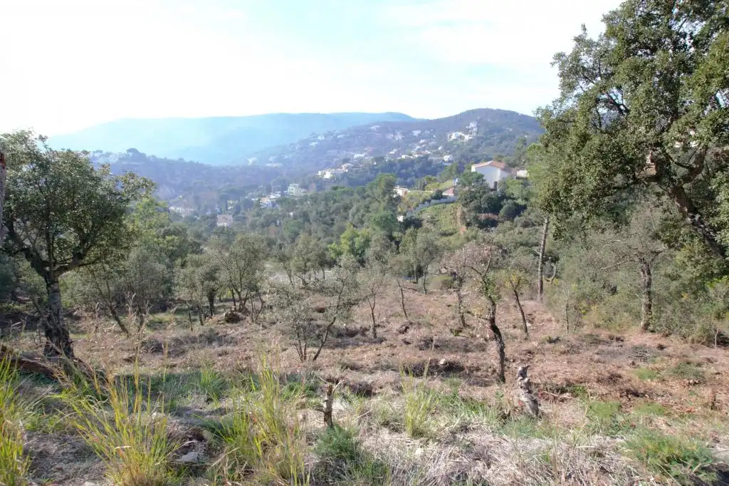 Terreno residencial en venta en alzina, imagen 2