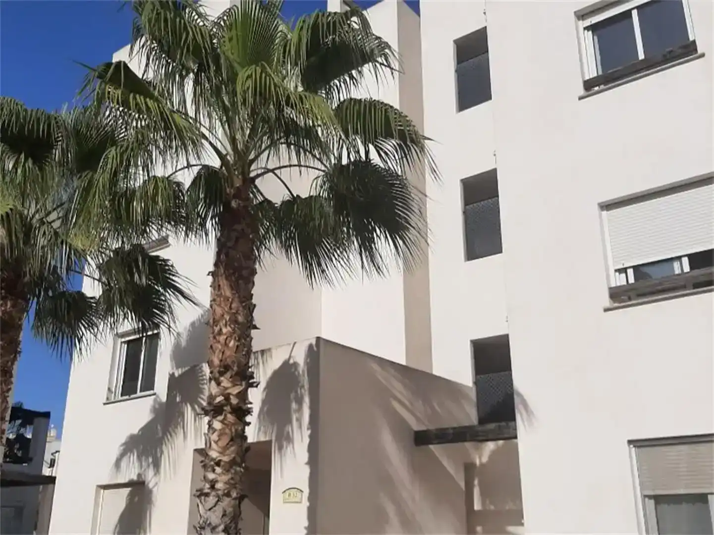 Vista exterior de Apartament en venda en Torre-Pacheco amb Aire condicionat, Jardí privat i Piscina