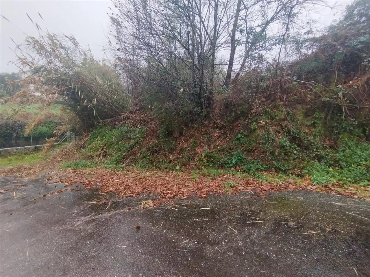 Terrain rustique à vendre à Tomiño, imagen 12