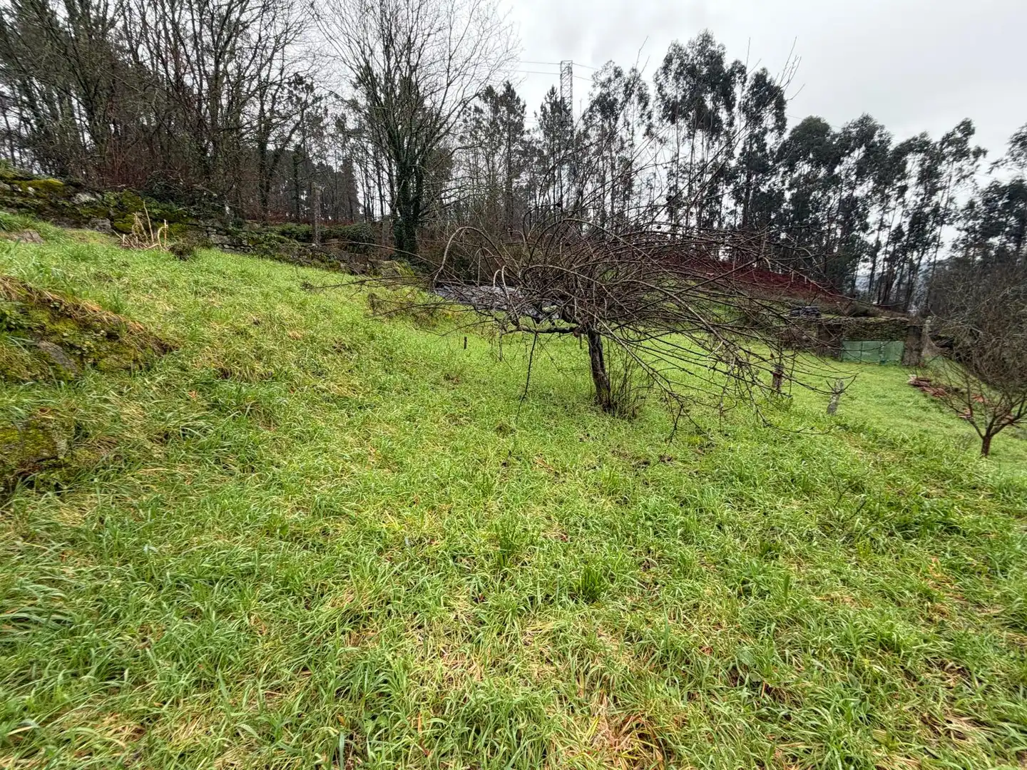 Houses for sale in Ponteareas