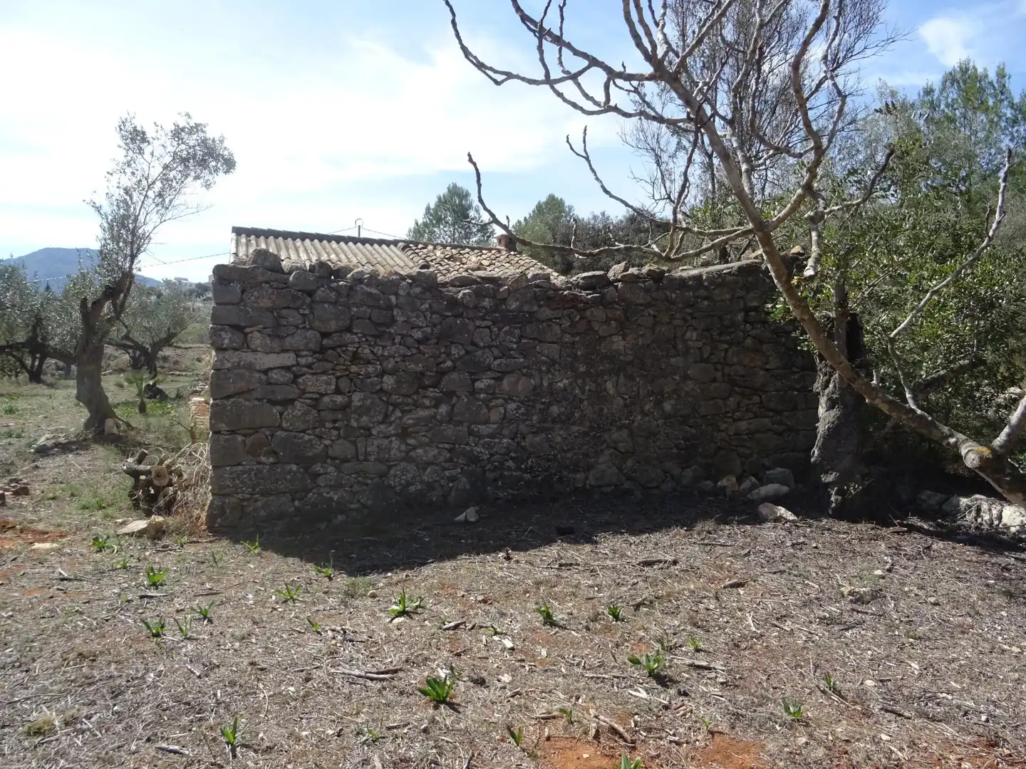 Casa con jardín en venta en Alcalalí, imagen 10