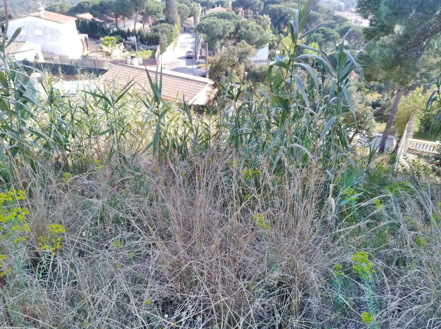 Terreno residencial en venta en Mas Mora - Sant Daniel, imagen 4