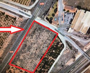 Terreny de lloguer a Carretera de Baix, 102, Estadio Castalia, Norte, Castellón de la Plana / Castelló de la Plana