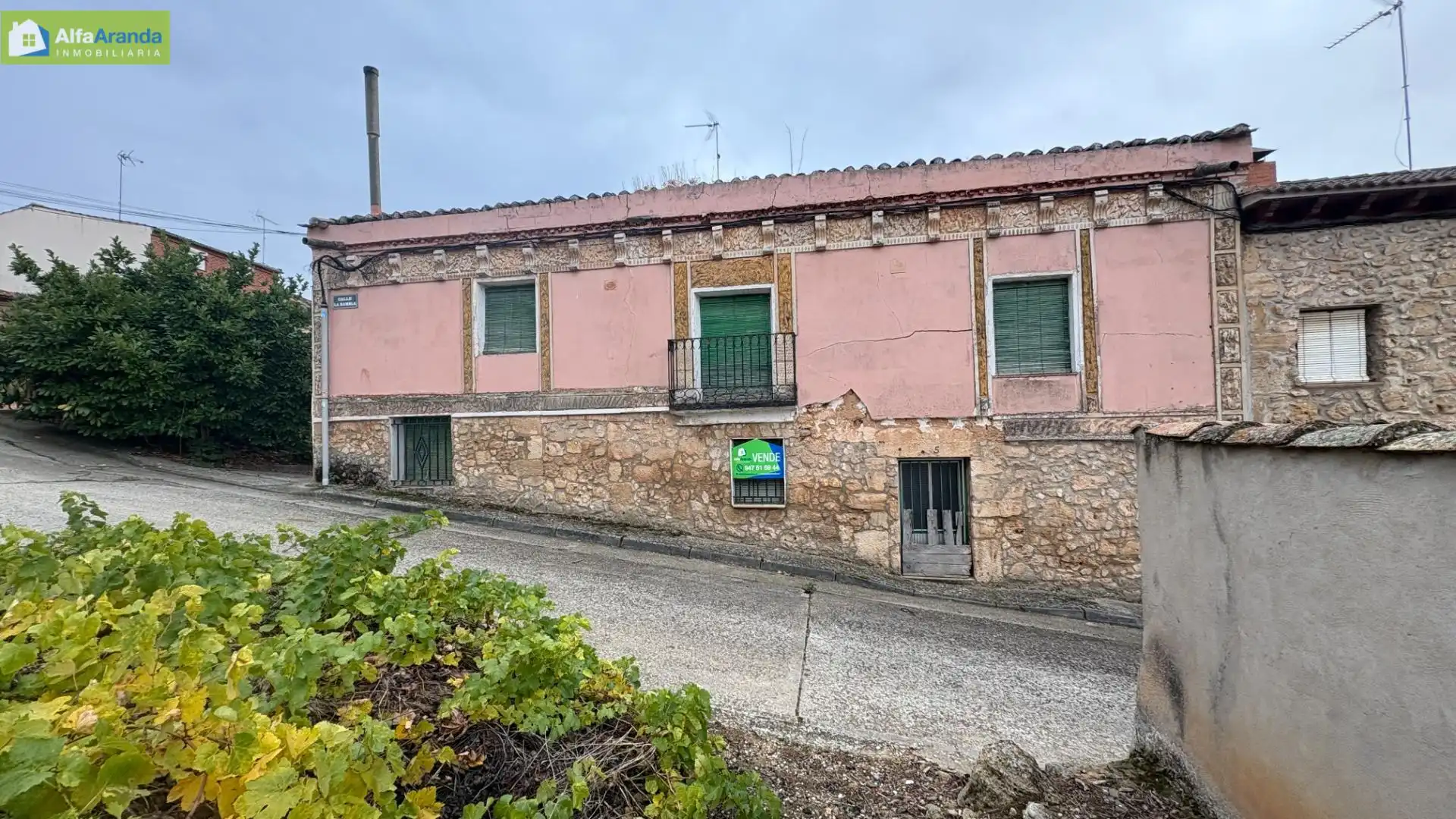 Vista exterior de Finca rústica en venta en Aranda de Duero con Jardín privado