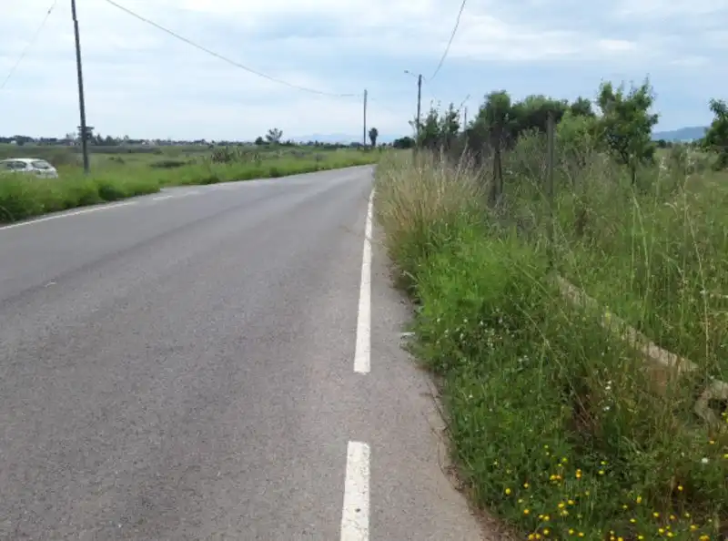 Terreny rústic en venda a PARAJE TORRE DEL BARÓN, imagen 2