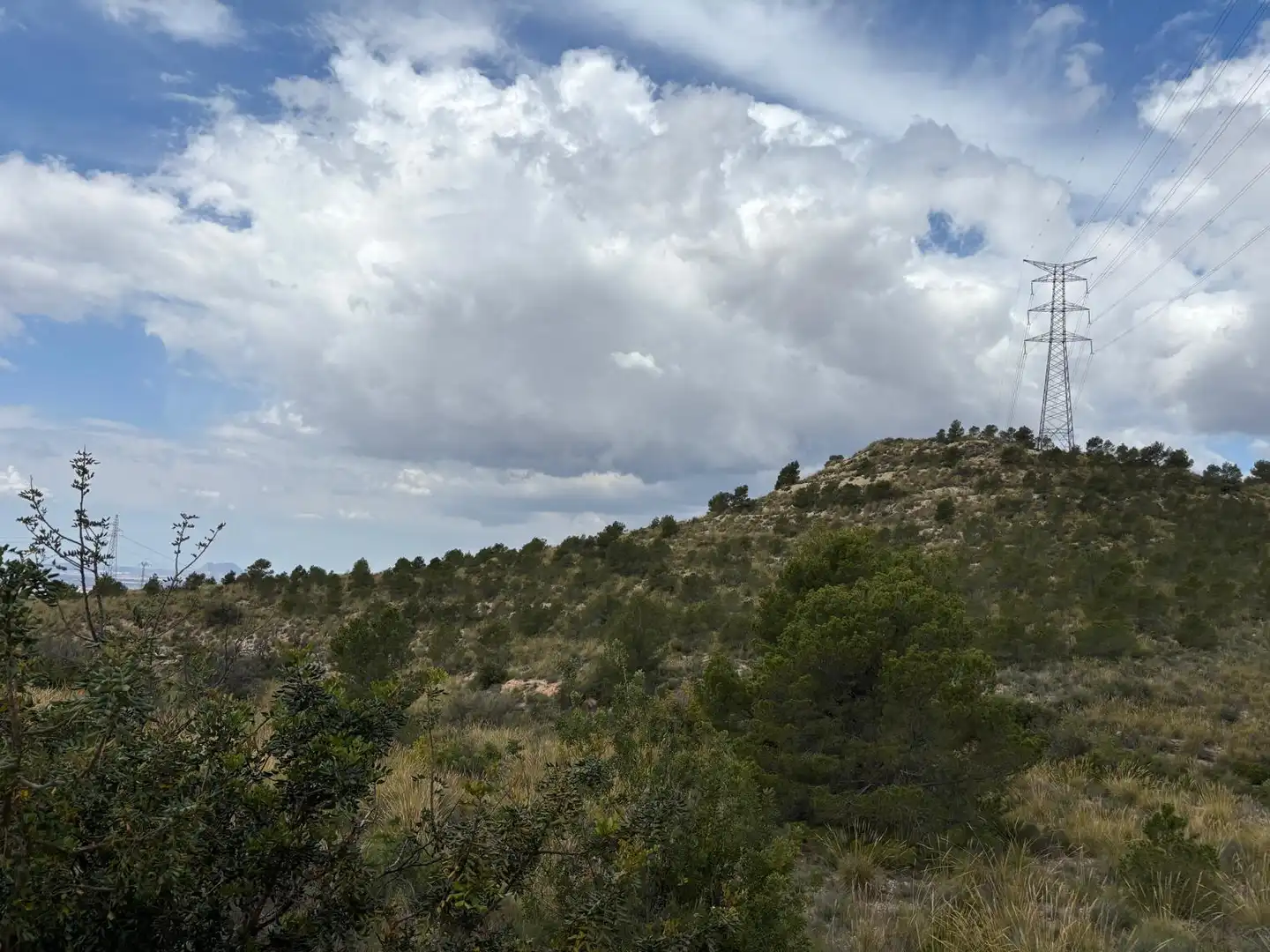 Terreny rústic en venda a Carrer del Calvari, imagen 10