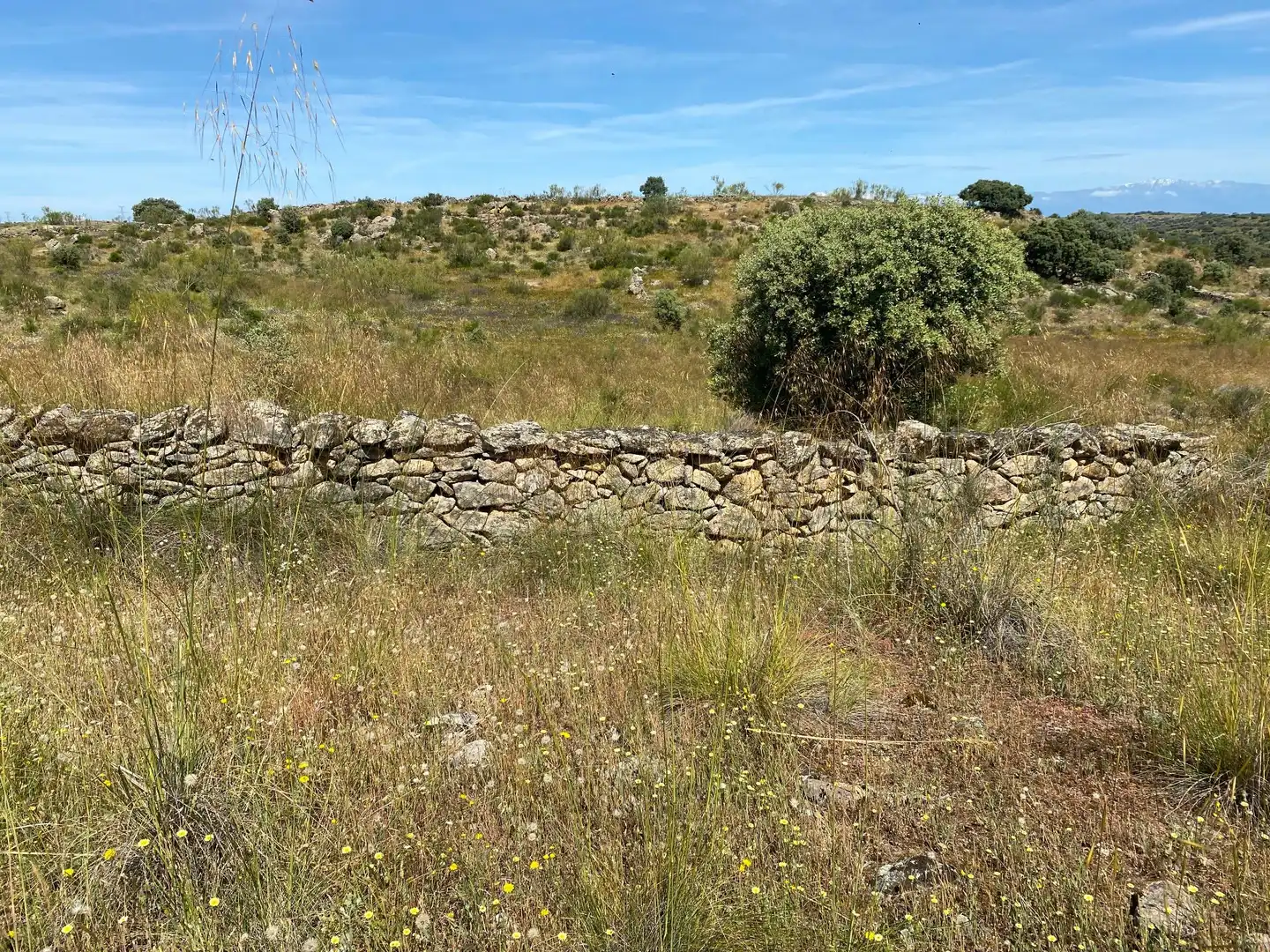 Terreni e lotti in vendita a Villar del Pedroso, imagen 31