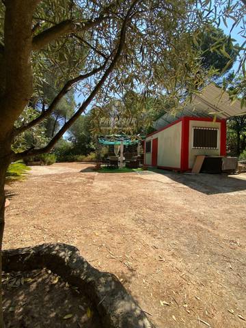 Terreno residencial en Venta en Santa Maria de Trassierra