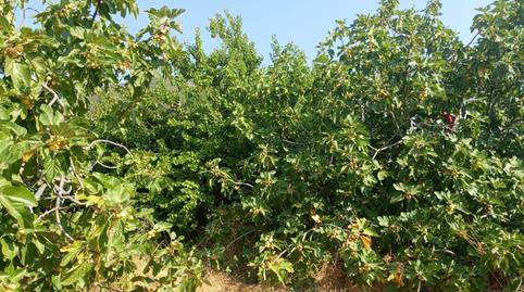 Foto 5 de Residencial en venta en  Poligono 3 Parcela176, Poyales del Hoyo, Ávila