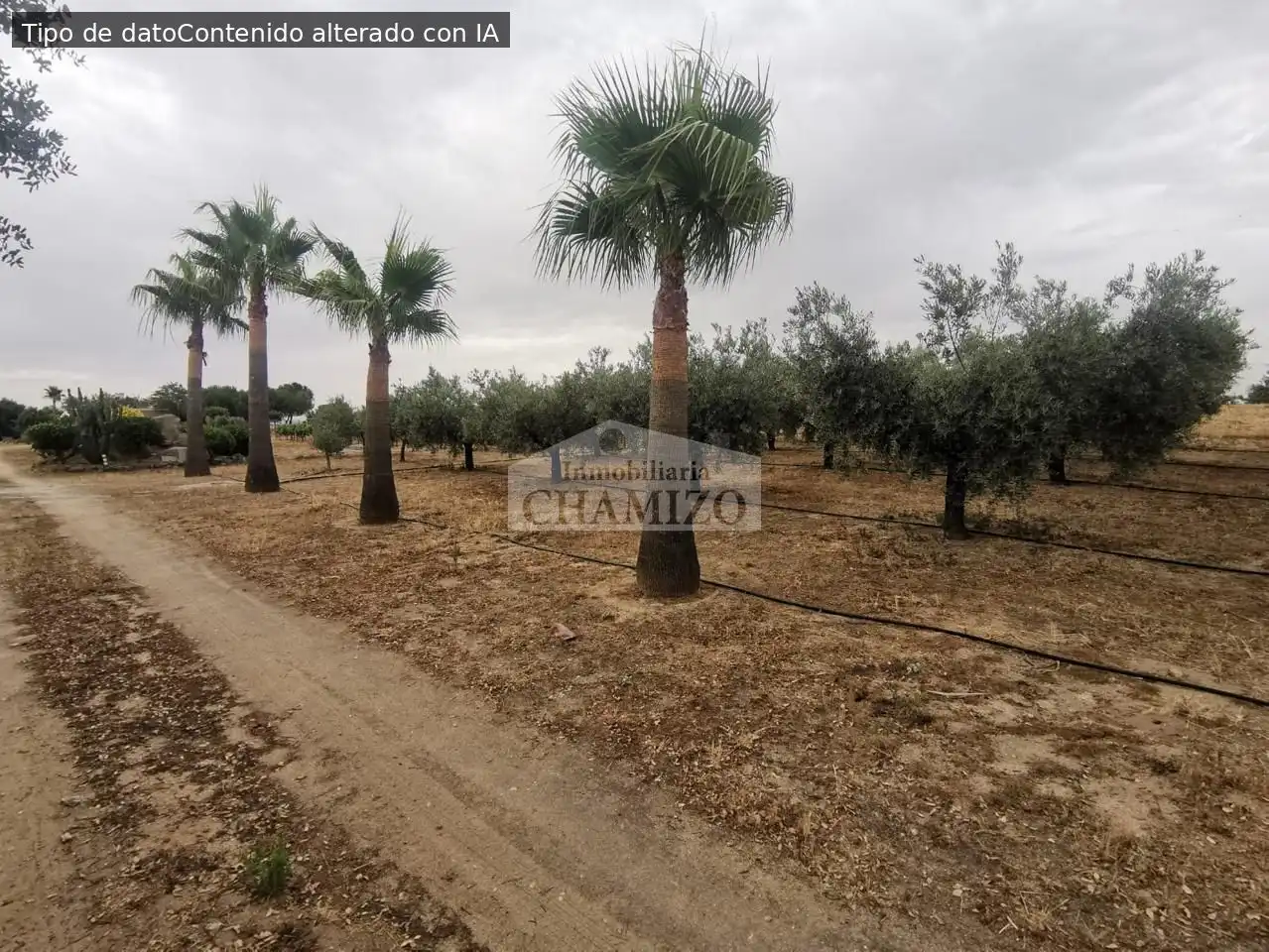 Casa o chalet en venta en Campanario con Jardín privado, Trastero y Piscina